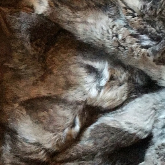 Tankus  rabbit fur vest.🥰 - Picture 12 of 16